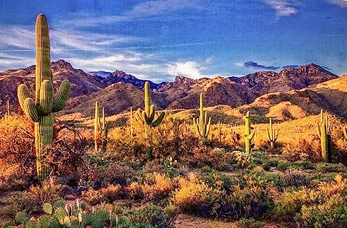 Saguaro National Park Quilt Panel, DCS-002, Panel Size is 24” X 16
