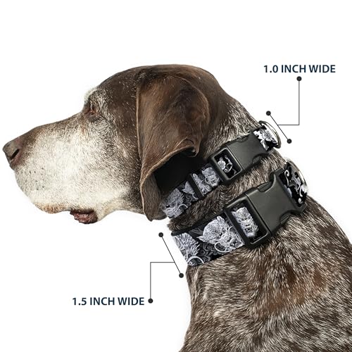 Collar Buckle Down ajustable 13 - 18 pulgadas, clip plástico negro/blanco para perros 3