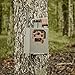 Moultrie Security Box for Edge, Edge Pro Cellular Trail Cameras - Robust Protection, 16-Gauge Steel Structure, Weatherproof and Security