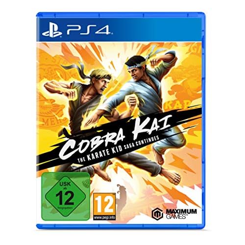 Cobra Kai: The Karate Kid Saga Continues - [PlayStation 4]