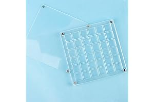 36 Grids Seashell Display Box