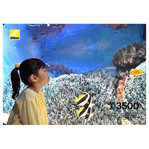 Nikon 18-55mm f/3.5-5.6G VR Lens