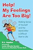  Help! My Feelings Are Too Big!: Making Sense of Yourself and the World After a Difficult Start in Life - for Children with Attachment Issues (English Edition)