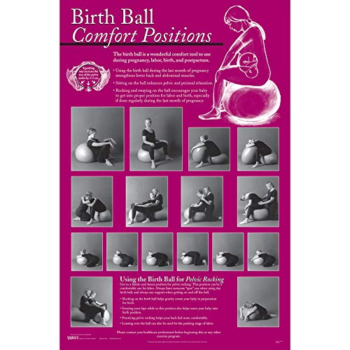 Birth Ball Comfort Positions Chart