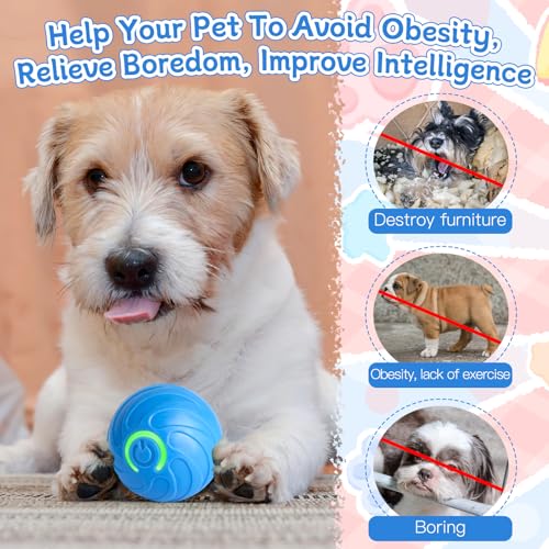 jwogngls Interaktywna piłka dla psa, bezpieczna, trwała, Magic Ball dla psów, automatyczna piłka dla małych i średnich psów, ładowana przez USB (niebieska)