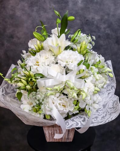 փƑ傫Ȕ{ t[AWg LLTCY (mԃC) (//ԕd/l\//@/~/ފ) [`s̉ԉ t[Xg]