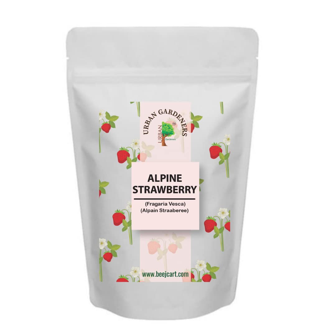 Urban Gardeners Alpine Strawberry Seeds -100 seeds (B09NQ7ZS7B) Amazon Price History, Amazon Price Tracker