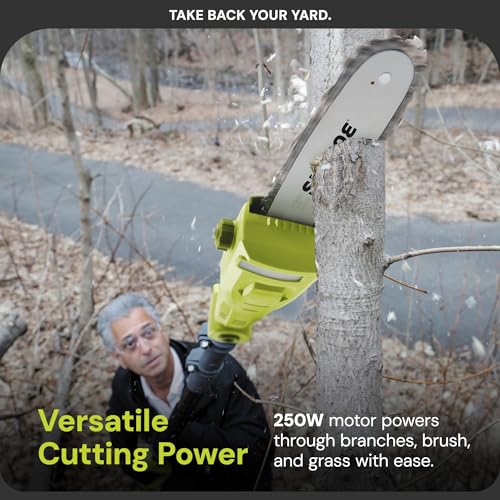 Sun Joe IONMAX Lawn Care System