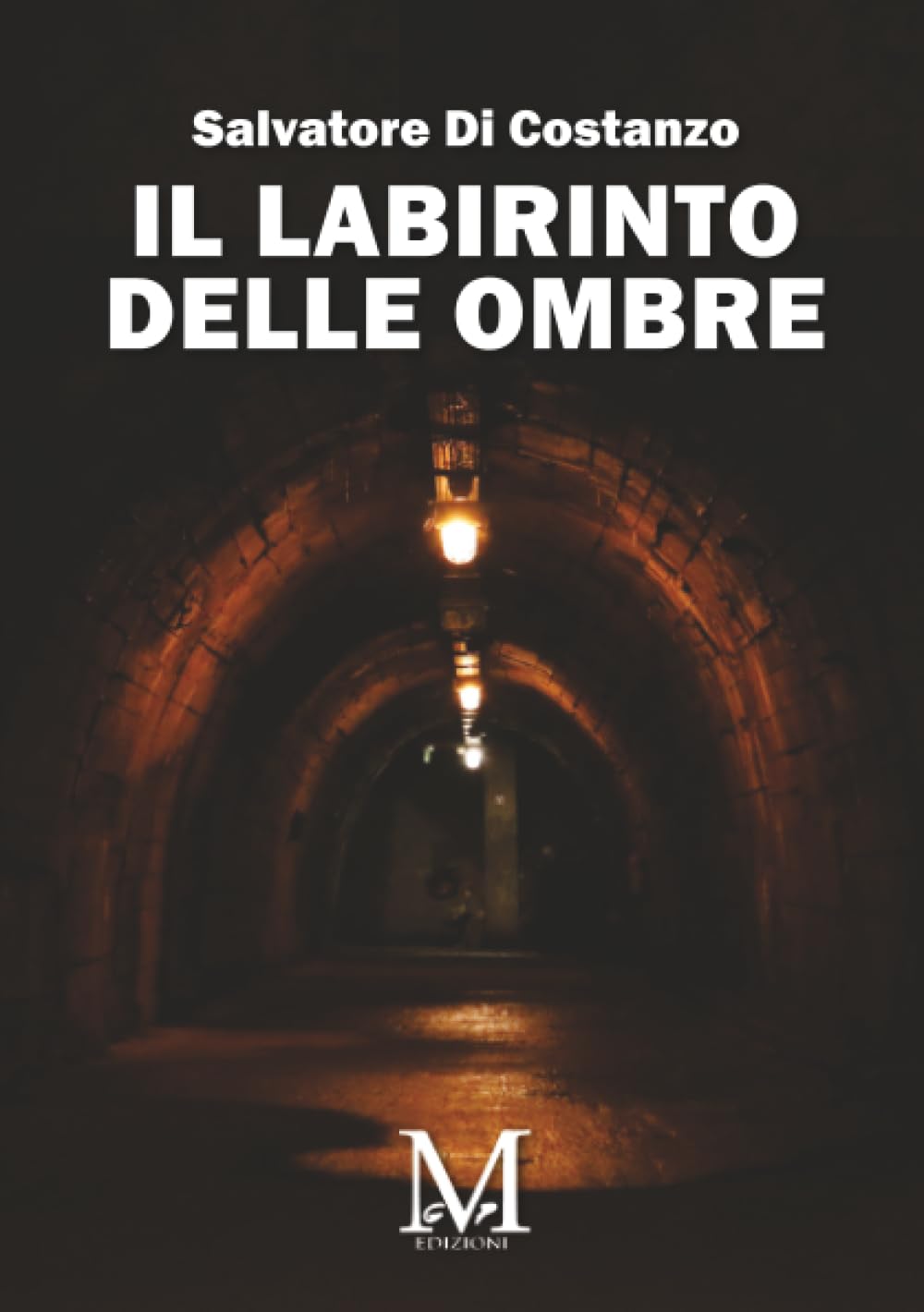 Il labirinto delle ombre
