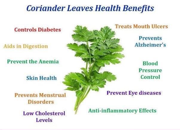 Coriander Leaf Powder : Amazon.in: Grocery & Gourmet Foods
