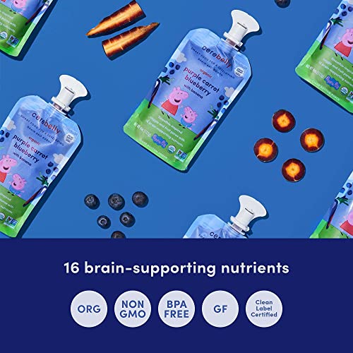 Cerebelly Baby Food Pouches – White Bean Pumpkin Apple & Purple Carrot Blueberry (6 Each), Organic Fruit & Veggie Purees, Great Snack For Toddlers, 16 Brain-Supporting Nutrients, No Added Sugar #TOP3