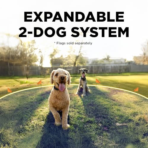 Image of Dogtra Smart Fence Additional Receiver Only (Orange) - Expand to 2 Dogs, Requires Control Station, Wireless Electric Dog Fence System, No Subscription, 2-Tier Alarm, Tone /Vibration /Static, 35 lbs+