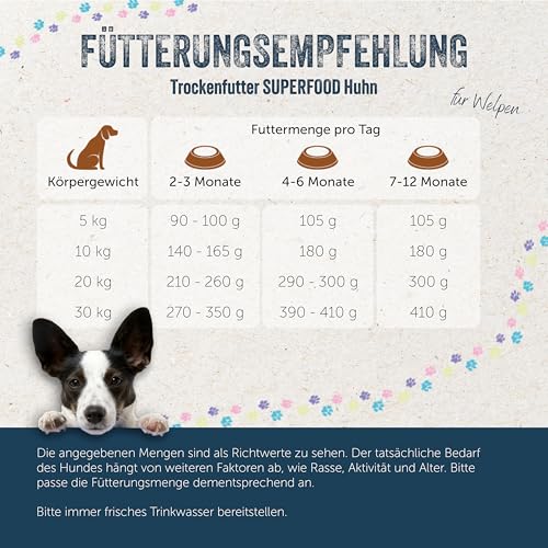 Lakefields SUPERFOOD | Premium Welpenfutter trocken | 61% Huhn | 2,5kg | Getreidefreies Trockenfutter für Welpen | Mit Leinsamen, Heidelbeeren & Bierhefe | Von Tierärzten entwickelt
