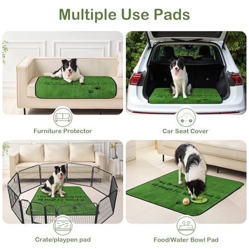 Image of Qeils Reusable Dog Pee Pads, 2 Pack Super Absorbent & Leakproof Washable Puppy Pads with Soft Green Top Layer, for Potty Training, Crates, Couch, Car Seats & Pet Beds, 36 inchx 36 inch