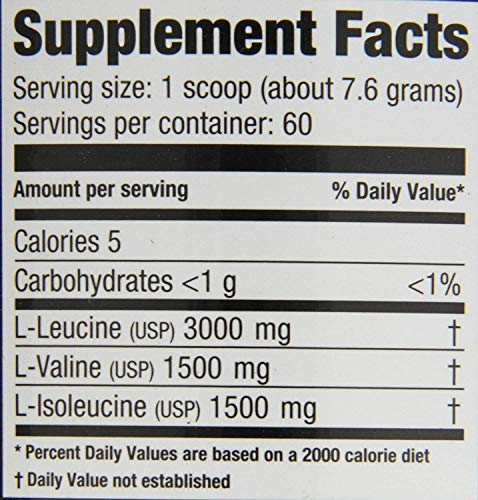 BCAA 12000 Powder (457g) - Ultimate Nutrition