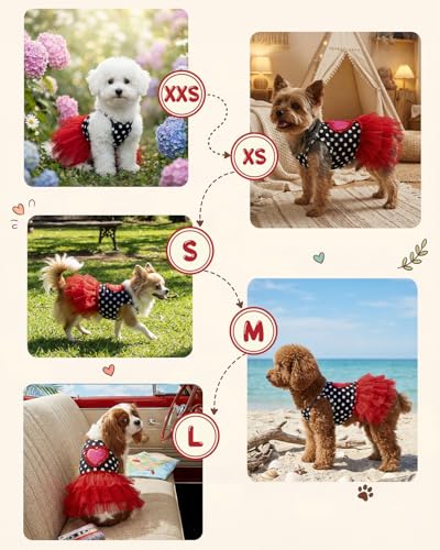 Image of CuteBone Cute Pet Dress for Small Dogs, Cats - Ruffle Princess Outfit with Pleated Heart, Summer Lightweight Breathable Dog Party Clothes for Holiday, Walks, Birthday, Photos DDQ01XS