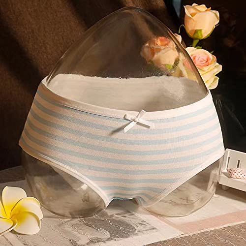 Image of Japanese Style Cute Striped Cotton Thong Pouch Bikini Underwear Briefs Cosplay Panties for Women Men Pack of 2