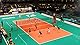 Electronic Arts Spike Volleyball