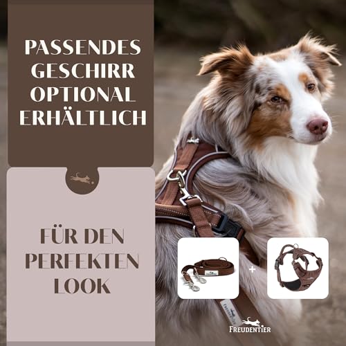 FREUDENTIER Hundeleine 2m – Verstellbare Führleine - Weich gepolstert, liegt angenehm in der Hand - Robuste Leine Hund für mittelgroße & große Hunde - Model Clyde (Braun, 20mm)