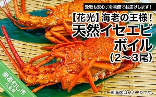 [受取も安心 冷凍便] 海老の王様 天然イセエビボイル (2尾〜3尾)