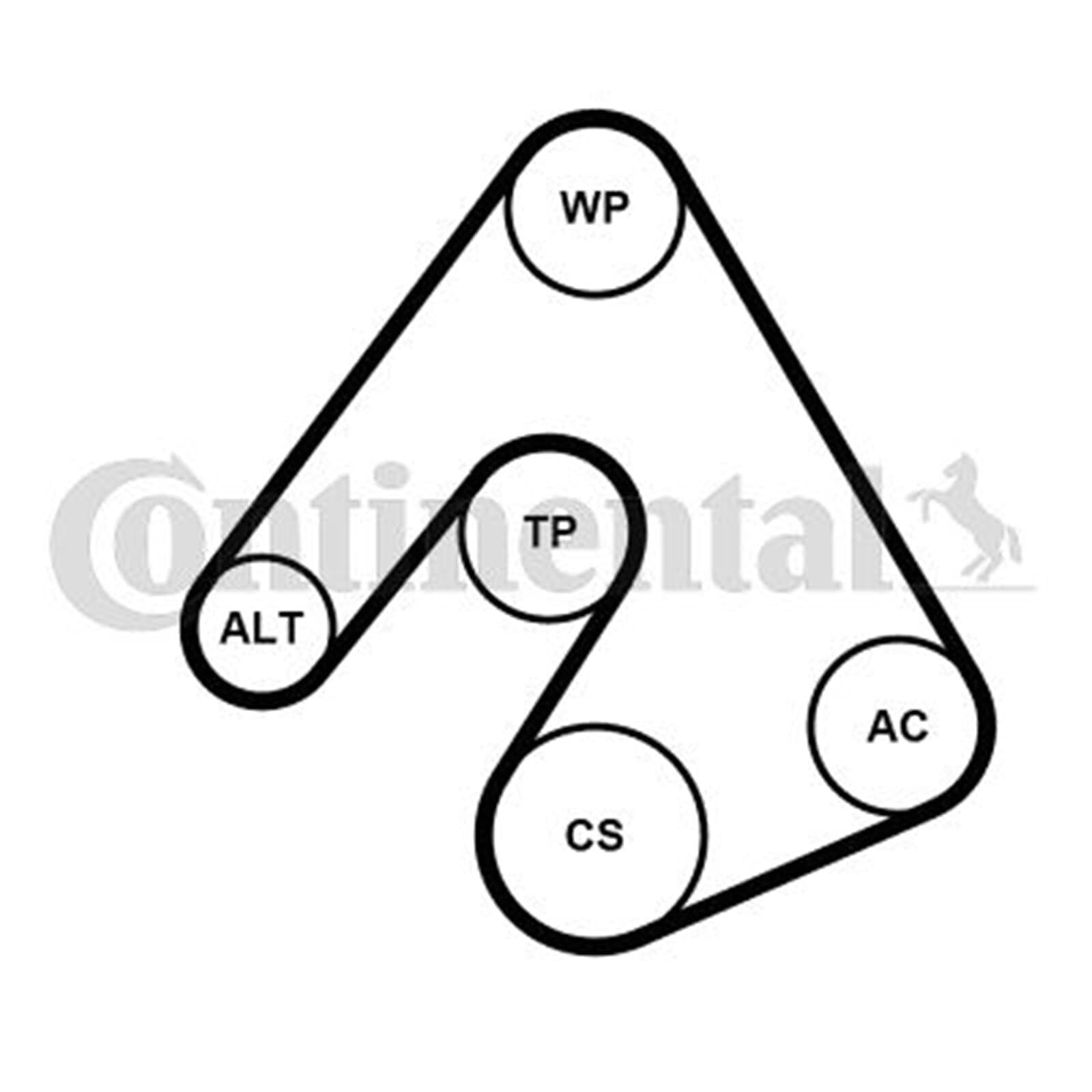CONTITECH Jeu de courroies trapézoïdales à nervures 5PK1207K1 Poulie de tension compris Compatible avec OPEL Corsa D 3/5 portes S07 Insignia A Sports Tourer G09 Corsa E 3/5 portes X15