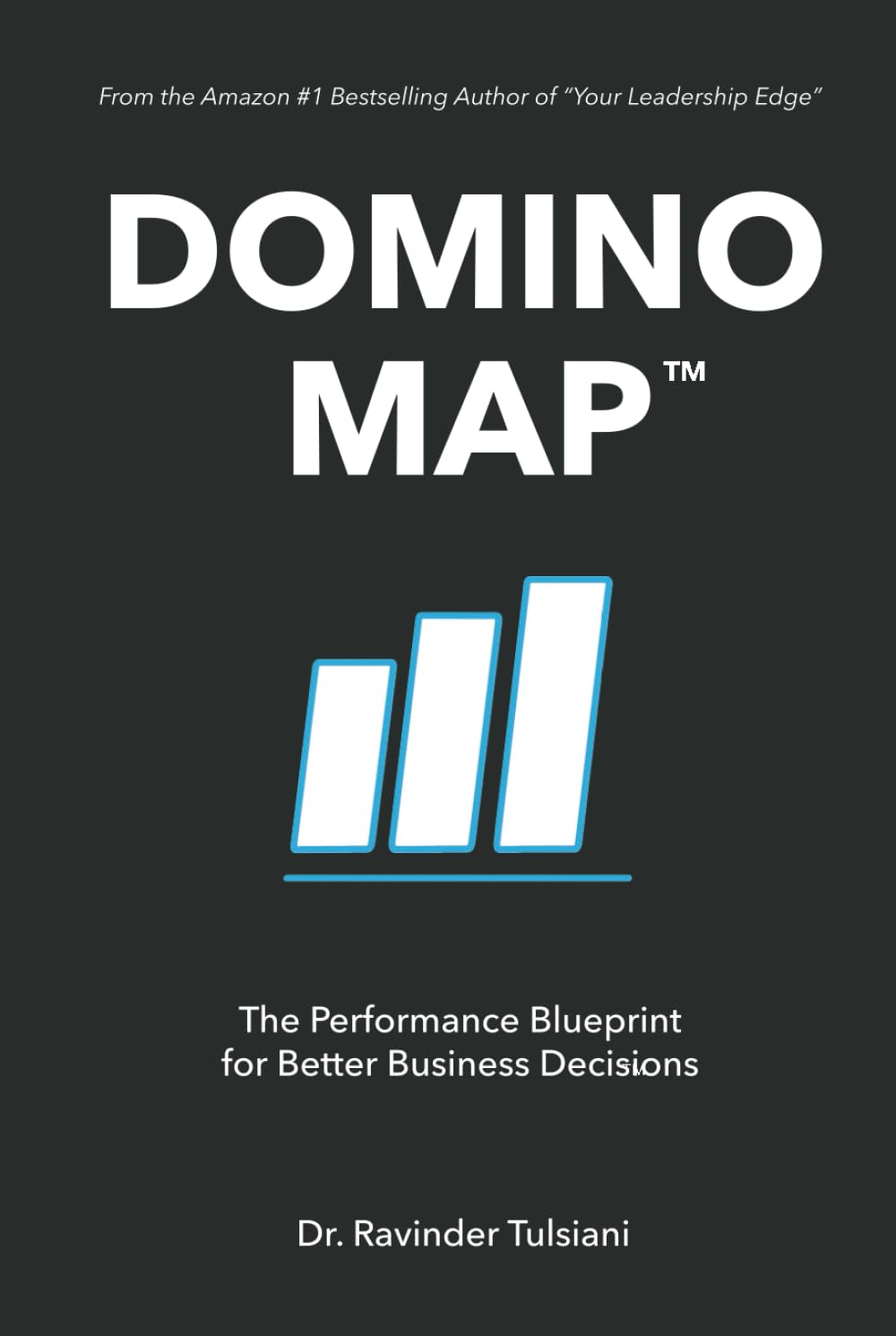 DOMINO MAP™: The Performance Blueprint for Better Business Decisions