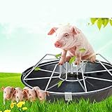 Größe: siehe Detail. . Dongbin Geflügel Huhn Ausrüstung Tränke, automatische Bewässerung, Getränkeflasche, für Rinder, Schafe, Schweine, Pferde/Schweine,F