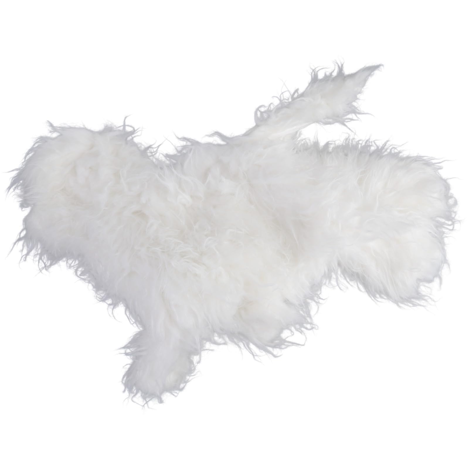 Pudelpflege Übungsmodell mit Strong, Bichon Frize White b
