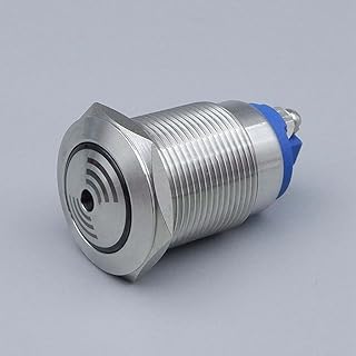 Buzzer 22mm 19mm Flash LED Indicator Light Signal Lamp Flash Metal Buzzer DC6V DC12V DC24V AC220V Intermittent Sound - (Voltage: 12V/ Size: 22mm)