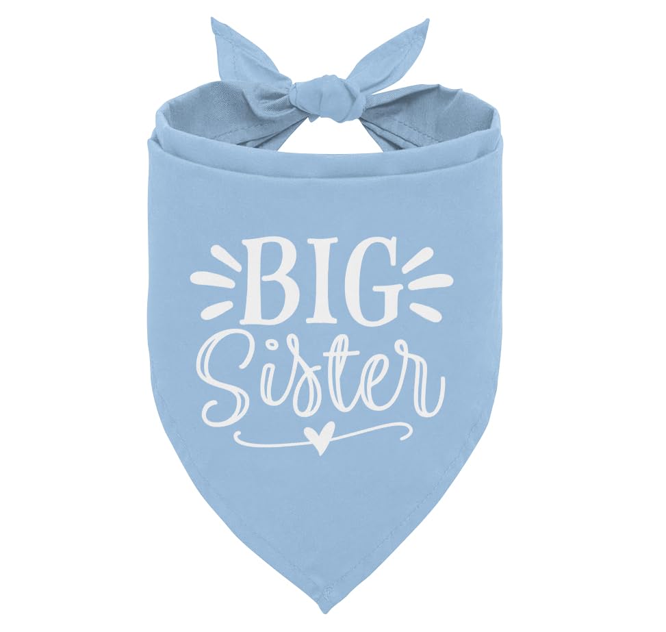 Big Sister Dog Bandana, Light Blue Pet Scarf Accessories, Pet Triangle Scarf, Dog Bandana for Small Medium Dogs, Baby Announcement Dogs Bandana (M)