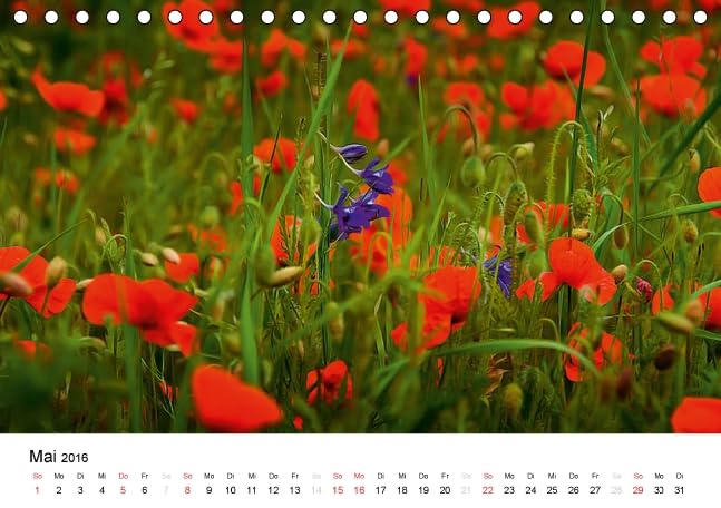 MohnZeit (Tischkalender 2016 DIN A5 quer): Landschaften voller Mohnblüten (Monatskalender, 14 Seiten ) (CALVENDO Natur)