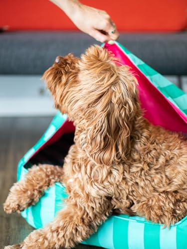 Lit pour chien lavable Rosewood à couverture intégrée pour chiot - 5