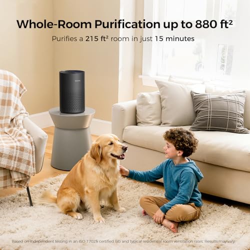 Purivortex Air Purifier PX500
