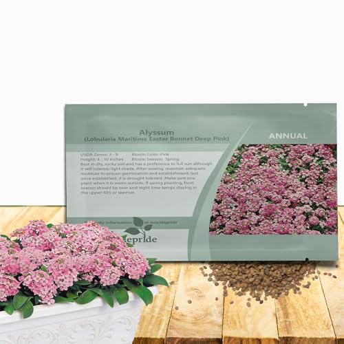 Outsidepride Easter Bonnet Deep Pink Alyssum Seeds - 2000 Pcs Annual, Drought-Tolerant & Pollinator-Friendly Ground Cover Seeds w/Fragrant Honey Blooms for Low-Growing Xeriscaping & Outdoor Planting