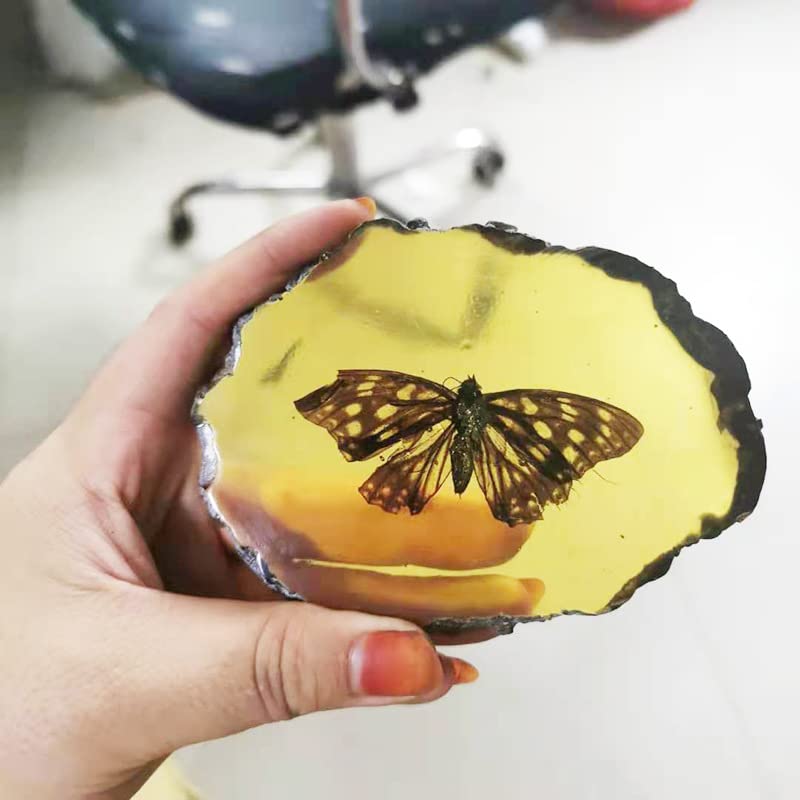 Image of Amber Fossils Insect Samples Artificial Amber Insect Specimen Pendant Stone Decoration Crystal Samples Collection Science Education Dragonflies, Cicadas, Scorpions, Butterflies (Scorpions)