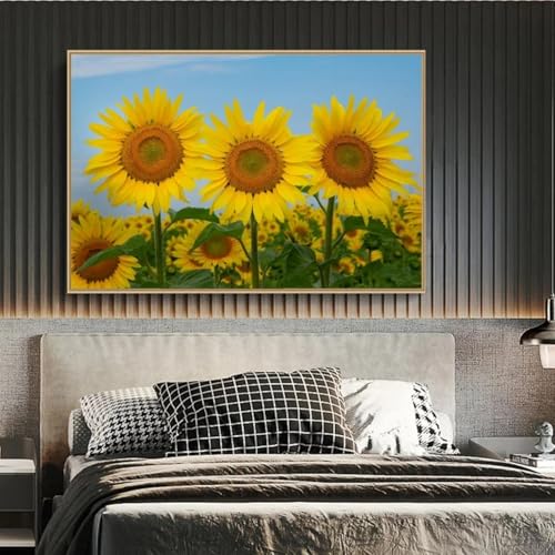 Affiche de paysage de tournesols 60x80cm pour habiller un grand mur sans cadre