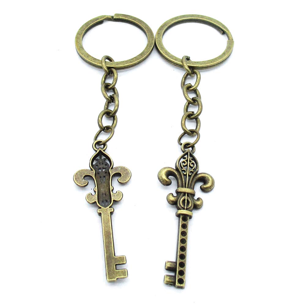 10 Pieces Antique Bronze Tone Keychain Keyring Jewellery Clasps Suppliers TK0970 Fleur De Lis Iris Lily Key