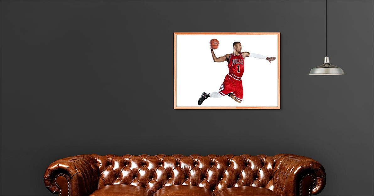【アヒル・新品 No 571】ポップアートパネル デリック ローズ NBA アヒル・新品 No 571】ポップアートパネル デリック ローズ NBA