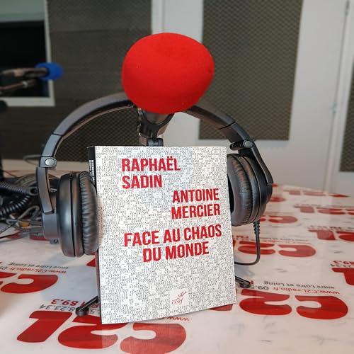 Des Livres et Vous - Antoine MERCIER _ Face au chaos du Monde