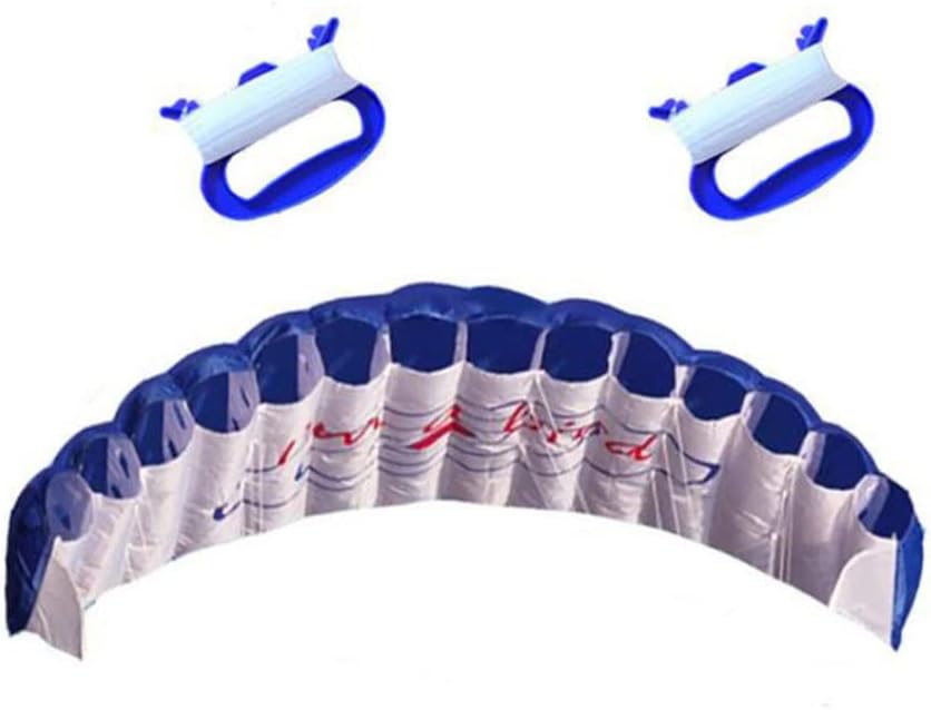 1PC Parafoil Kite Plaid Cloth Dual Line Surfing Parachute Beach Kite Outdoor Fun Toys Blue