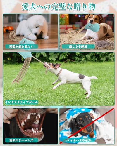 SCHITEC Dog Rope Toys, Plush Crinkle Tug of War Toy for Small Medium Large Dogs, Interactive Octopus Stuffed Chew Toy for Puppy Teething - Image 4