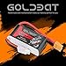 GOLDBAT 1500mAh 3S 11.1V 100C Softcase Lipo Battery Pack with XT60 Plug for Axial Capra, Skylark m4-fpv250, Mini Shredder 200, Qav250, Helicopter Drone and FPV (2 Pack)