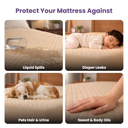 Image of MY ARMOR Mattress Protector | 72x36 Inch Waterproof Single Bed Cotton Quilted Fitted - Breathable, Noiseless, Ultra Soft Mattress Cover with Elastic Skirting (Beige, 6x3 ft)
