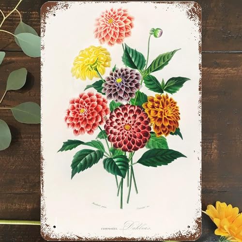 �t�����X �{�^�j�J�� �_���A �t�����[ �u�[�P �E�H�[�� �A�[�g ���� �_���A �t���[���� �O���[�� �t �|�X�^�[ �u���L�Ŕ� �E�H�[���|�X�^�[ ���� �ʔ��� ���g�� �o�[ �R�[�q�[ �N���u �p�u �M�t�g �E�H�[���f�R �T�C�� 8x12�C���`