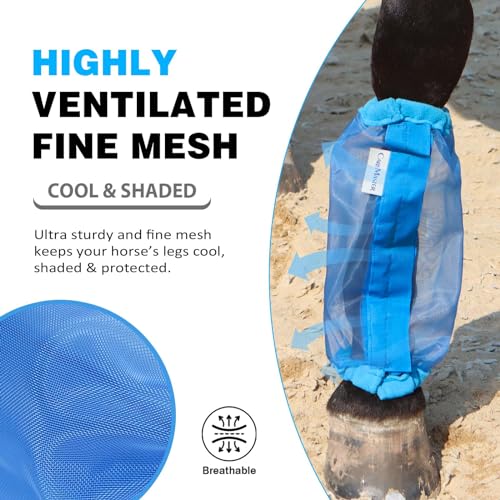 Image of Universal Size Horse Leggings Fine Mesh Greatly Reduce Stomping Breathable Horse Boots Leg Wraps (Set of 4) Blue