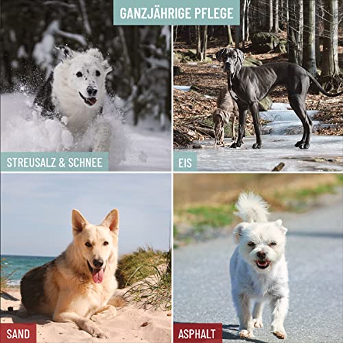 ReaVET Pfotenbalsam Hund & Katze 120ml – Natürliche Pfotenpflege mit Sheabutter, Kokosöl & Bienenwachs I Pfotenschutz Creme, Zubehör für Winter & Sommer