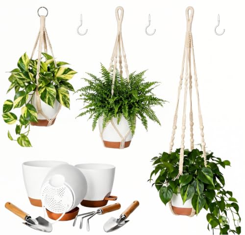 Ezylivin 3 Pack Self Watering Hanging Plant Pots with Macrame Plant Hangers & Garden Tool Set Indoor Outdoor Hanging Planters with Ceiling Hooks White Plants Holders for Home Balcony Garden