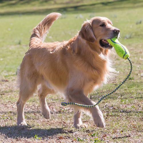 Paulchen Air Kong 747 (L) 15670 Hunde-Spielzeug mit Seil