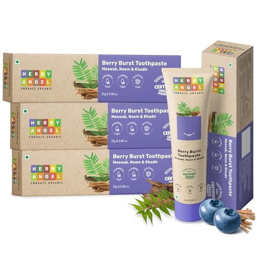 Image of Baby Toothpaste Berry Burst - Herbal Kids Oral Care with Neem, Khadir & Meswak | Promotes Strong Teeth & Healthy Gums | Fluoride Free,Organic & Safe for Toddlers (Pack of 4) (25 GM Each)