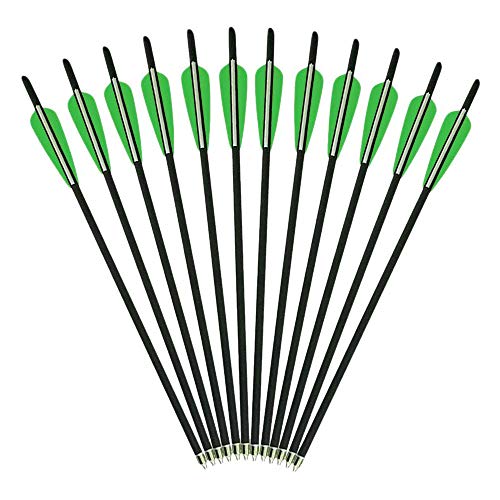 Frecce Da Tiro AMEYXGS In Carbonio Misto - 12 Pezzi Da 30 Pollici Per Pratica E Caccia